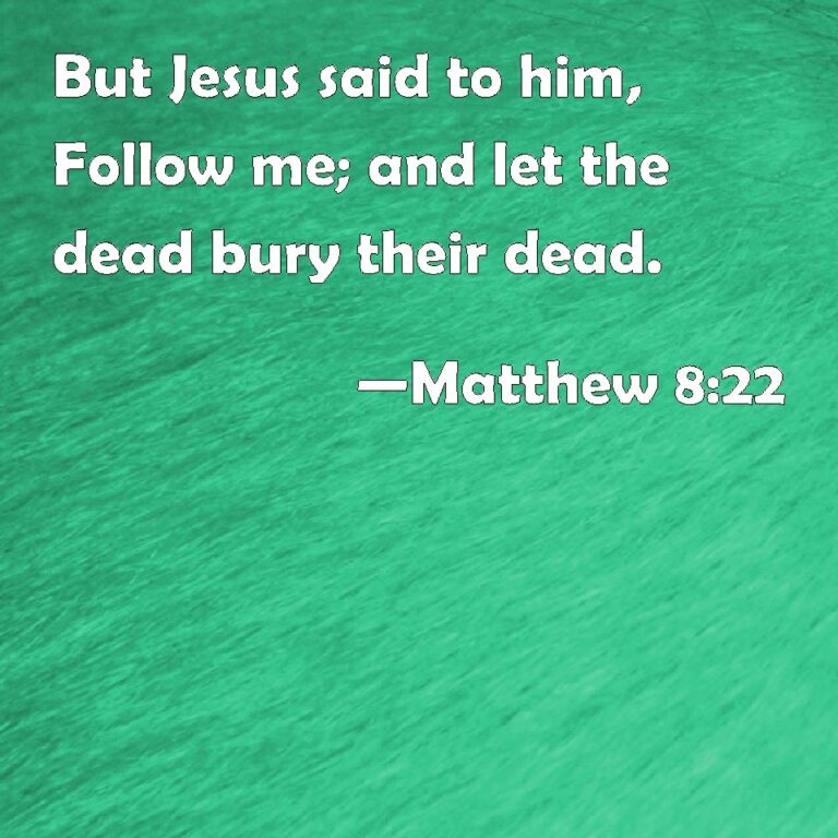 What Does Matthew 8 22 Mean