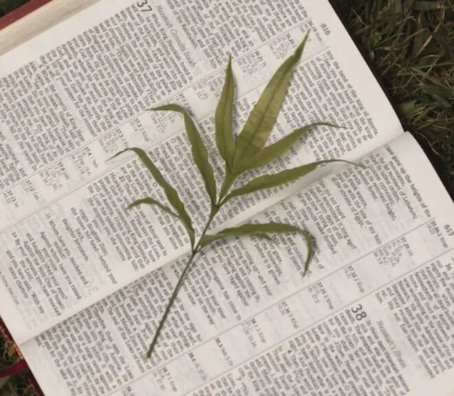 What Does Subdue Mean In The Bible