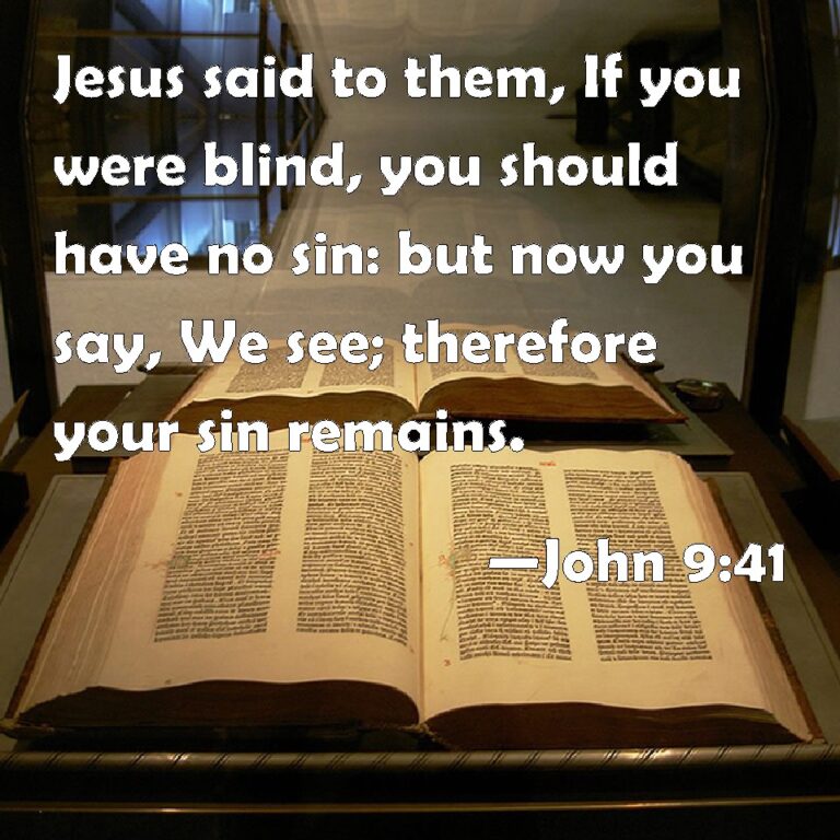 What Does John 9:41 Mean