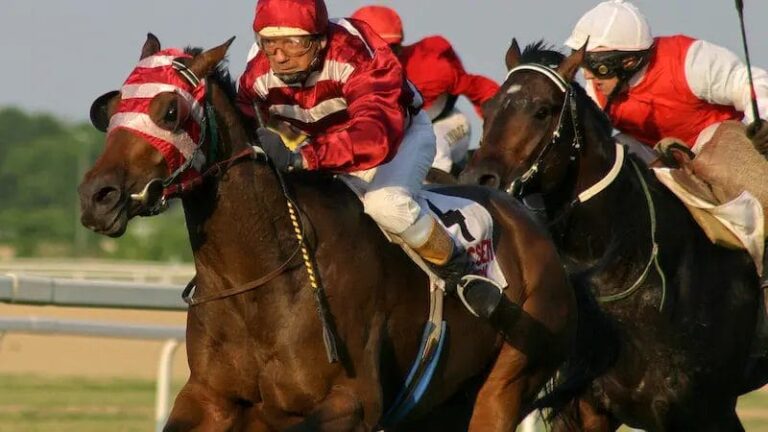 What Does Scratch Mean In Horse Racing