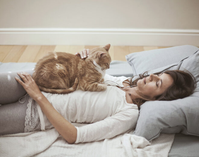 What Does It Mean When Your Cat Sits On You