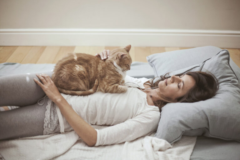 What Does It Mean When Your Cat Sits On You