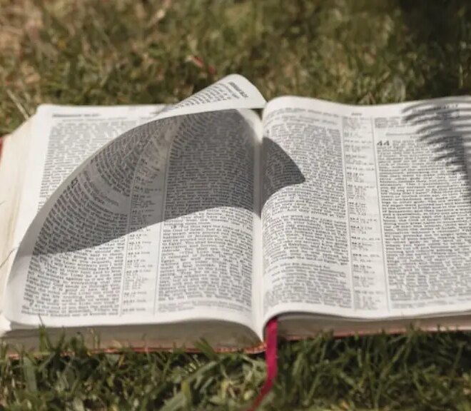 What Does Bewailed Mean In The Bible