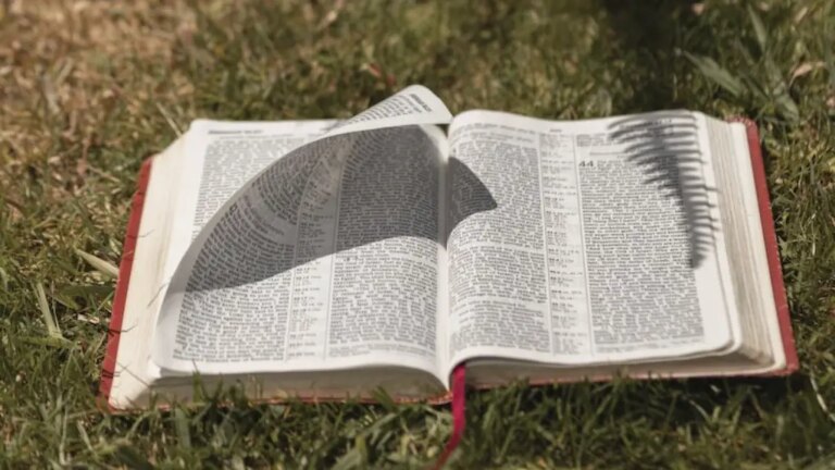 What Does Bewailed Mean In The Bible
