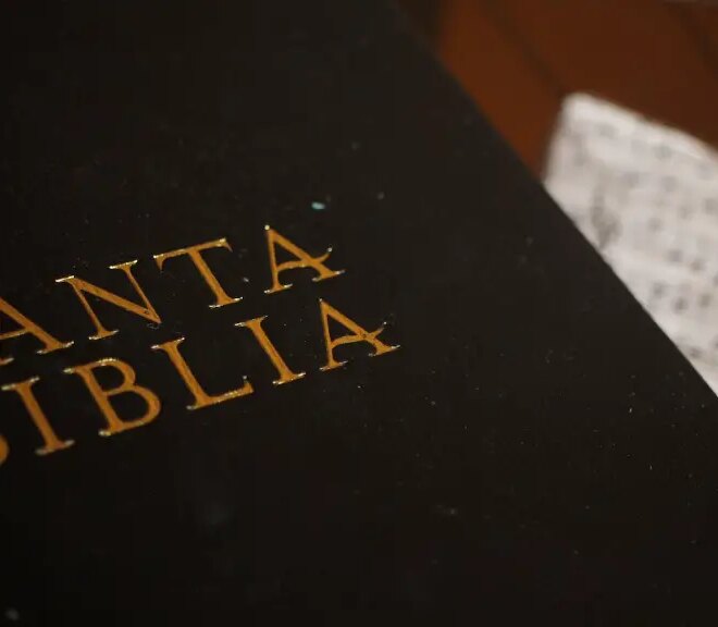 What Does Purgeth Mean In The Bible