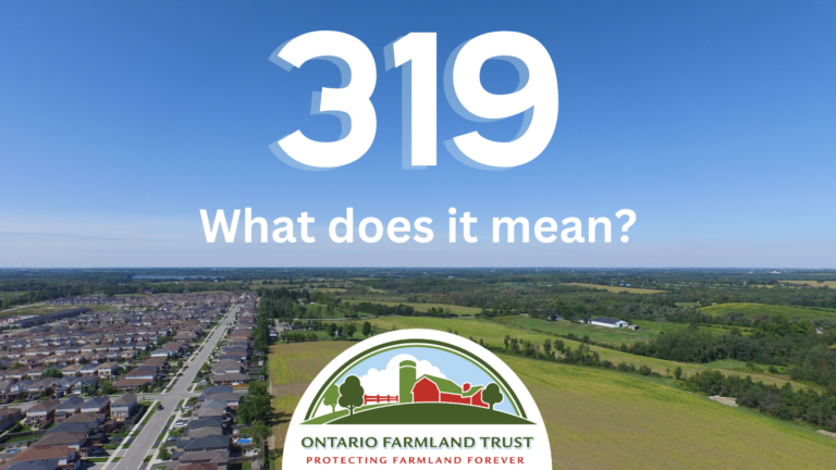 What Does 319 Mean
