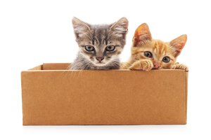 What Does Junto Mean In Spanish