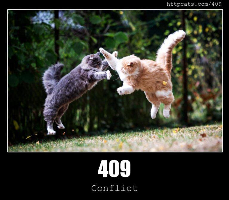 What Does 409 Mean