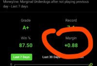 What Does It Mean To Think At The Margin