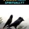What Do 3 Crows Mean Spiritually