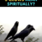 What Does Seeing 3 Crows Mean Spiritually
