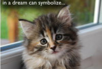 What Does It Mean When You Dream Of Kittens