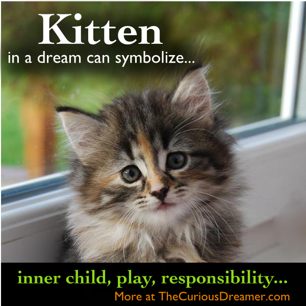What Does It Mean When You Dream Of Kittens