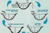 What Does It Mean When A Lake Turns Over