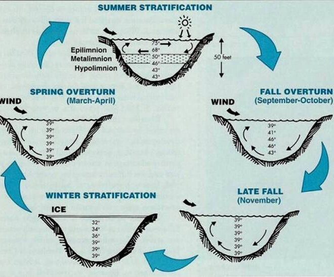 What Does It Mean When A Lake Turns Over