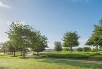 What Does Undeveloped Land Mean