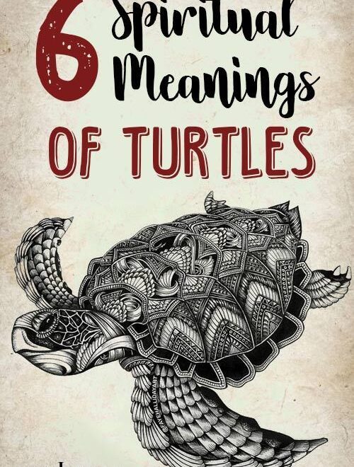 What Does Turtles Mean Spiritually