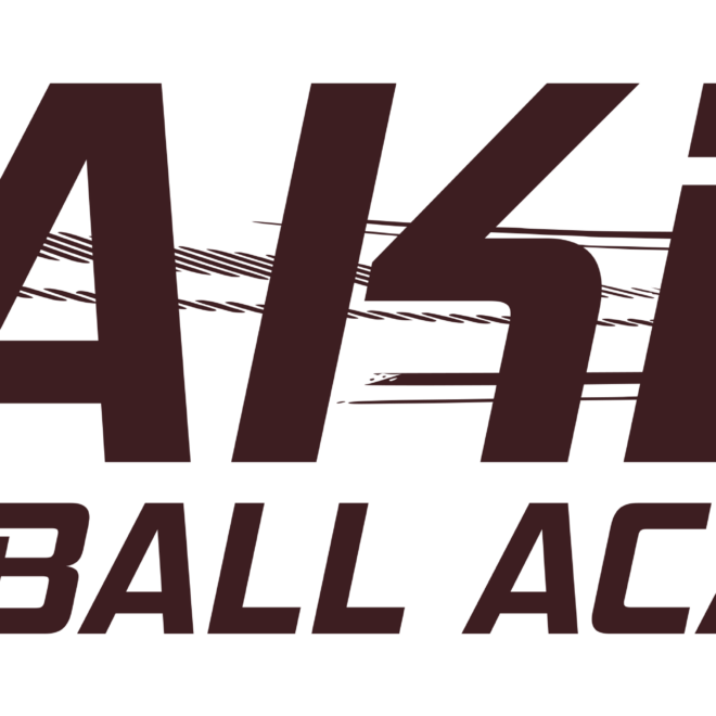 What Does Rake Mean In Baseball