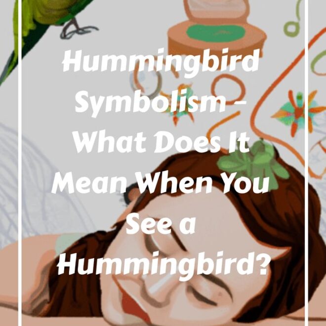 What Does It Mean When A Hummingbird Comes Near You