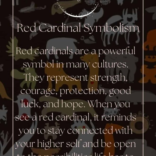 What Does A Dead Cardinal Mean