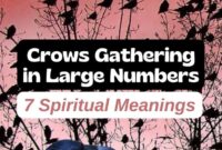 What Do Four Crows Mean