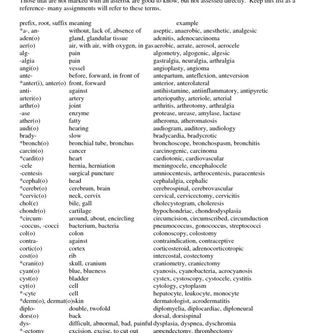 What Does The Prefix Para Mean In Medical Terminology