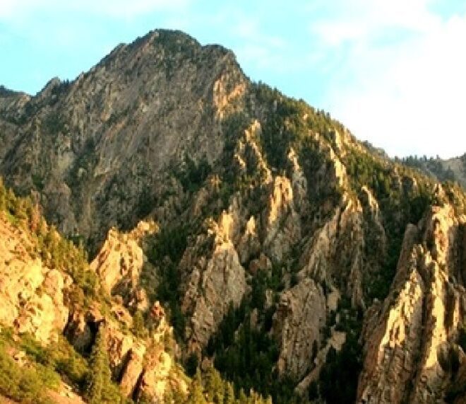 What Does Poaching Deer Mean