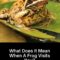 What Does It Mean When You See A Frog