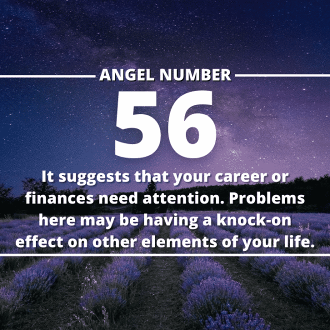 What Does Number 56 Mean