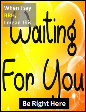 What Does Brh Mean In Text