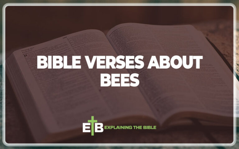 What Do Bees Mean In The Bible