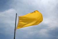 What Do Yellow Utility Flags Mean