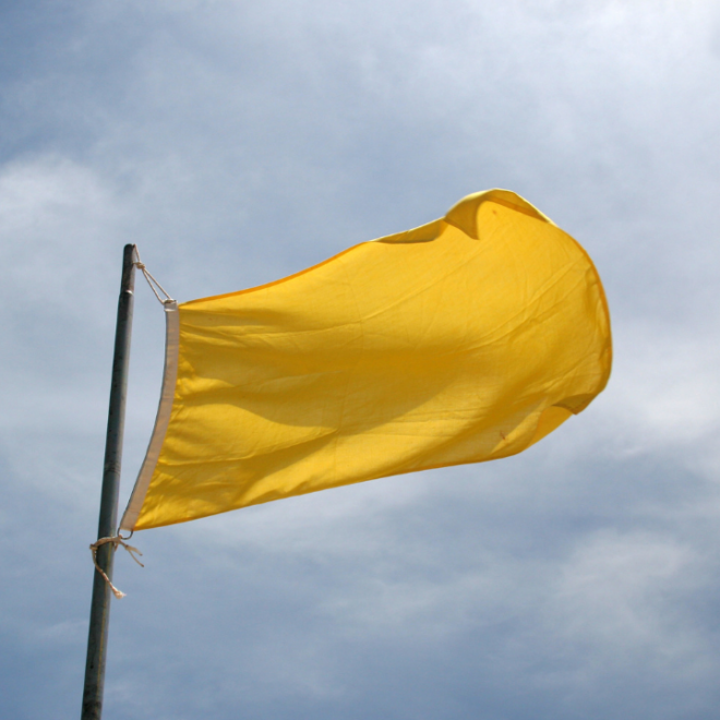What Do Yellow Utility Flags Mean