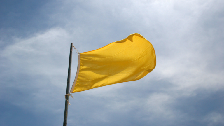 What Do Yellow Utility Flags Mean