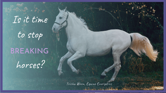 What Does Breaking Horses Mean