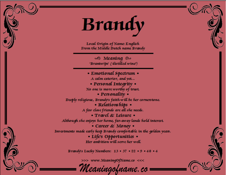 What Does The Name Brandy Mean