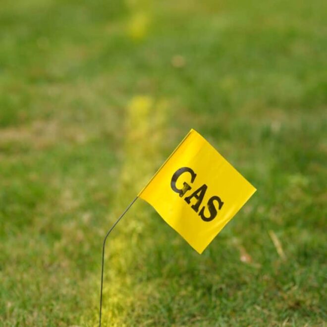 What Do Blue Flags In Yard Mean