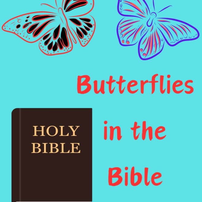 What Do Butterflies Mean In The Bible
