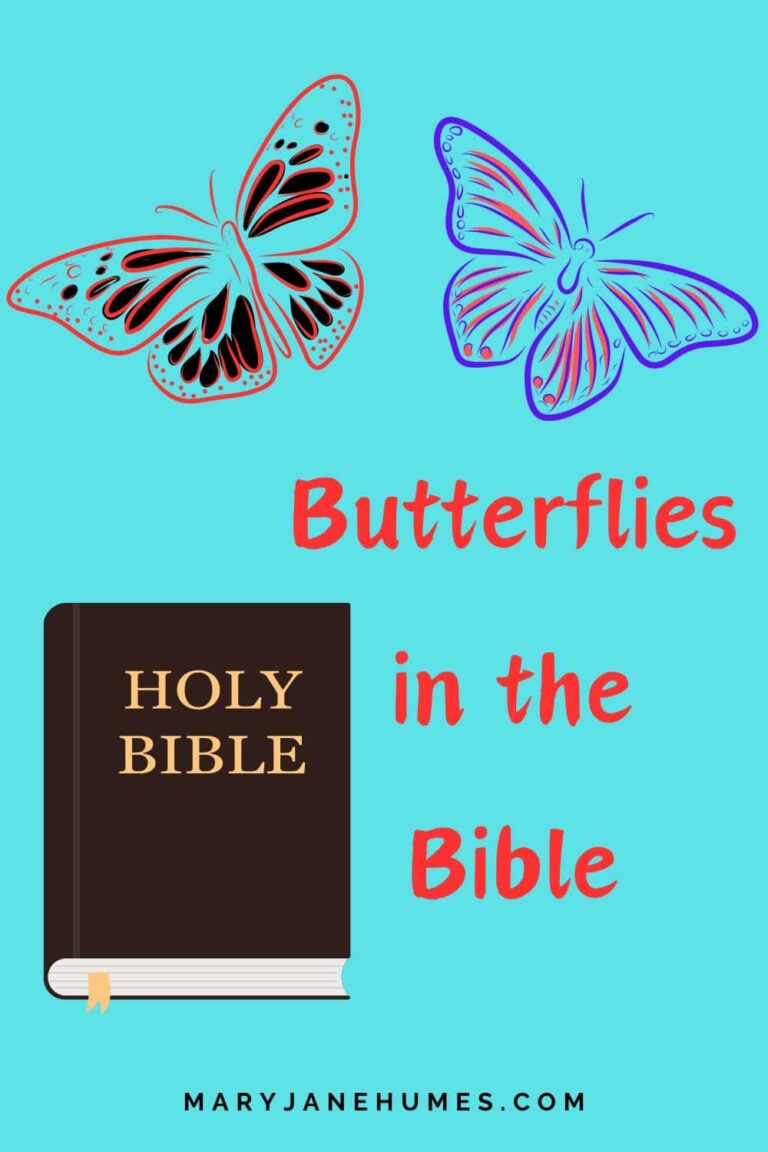What Do Butterflies Mean In The Bible
