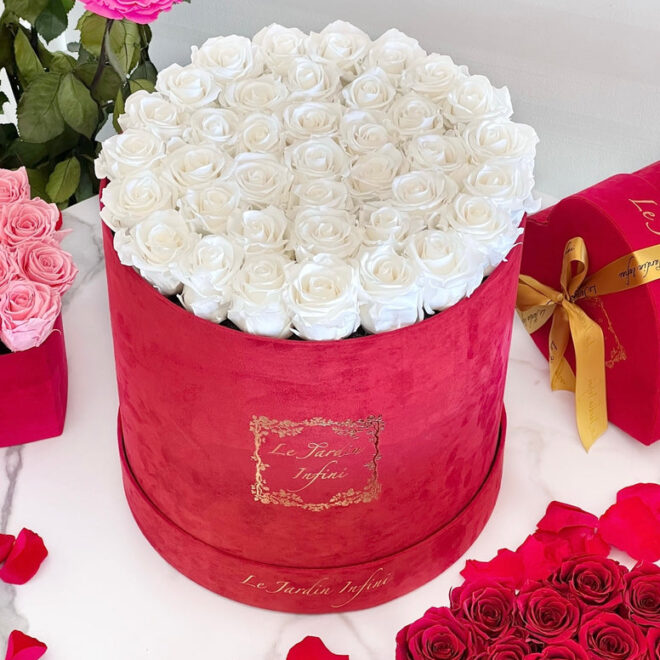 What Do White Roses Mean In A Relationship