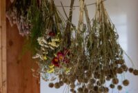 What Does Wildcrafted Mean