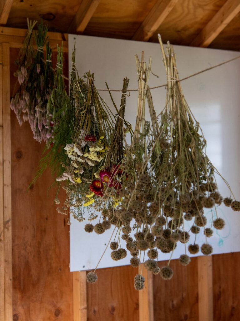 What Does Wildcrafted Mean