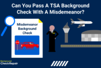 What Does Felony Including Misdemeanor Disabled Mean On Background Check