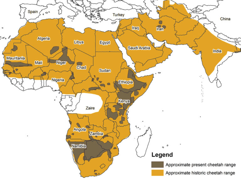 Map Of Cheetah Habitat