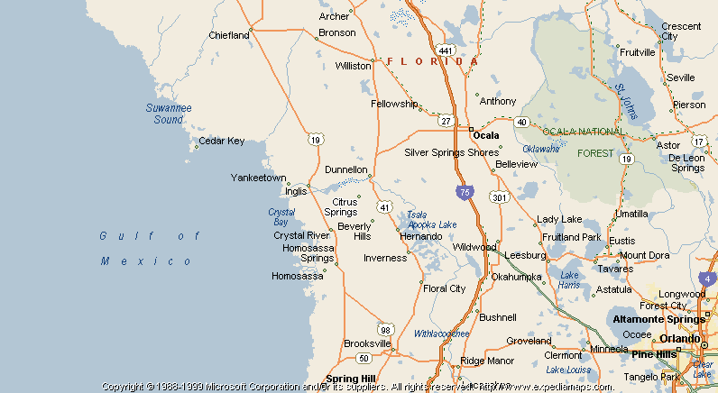 Citrus Springs Florida Map - Sarah Cornelle