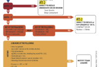 What Does Code Sepsis Mean