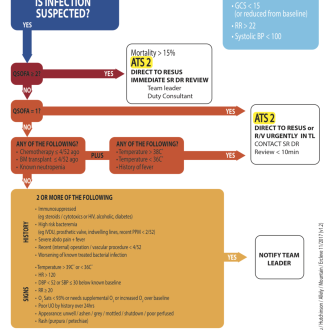 What Does Code Sepsis Mean