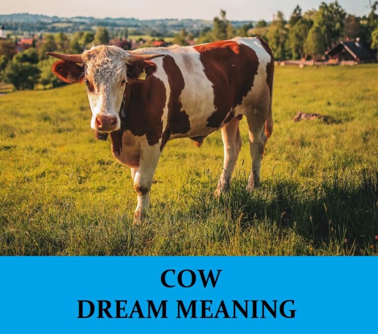 What Does It Mean When You Dream Of Cows