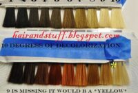 What Does Level 7 Hair Stylist Mean