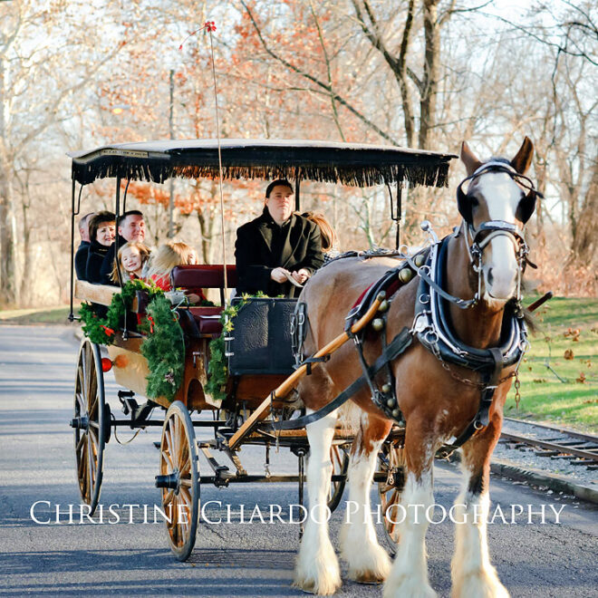 What Does Bells On Bobtail Ring Mean